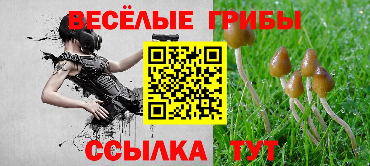 Вышний Волочёк  Галлюциногенные грибы прущие грибы  Вход с VPN 